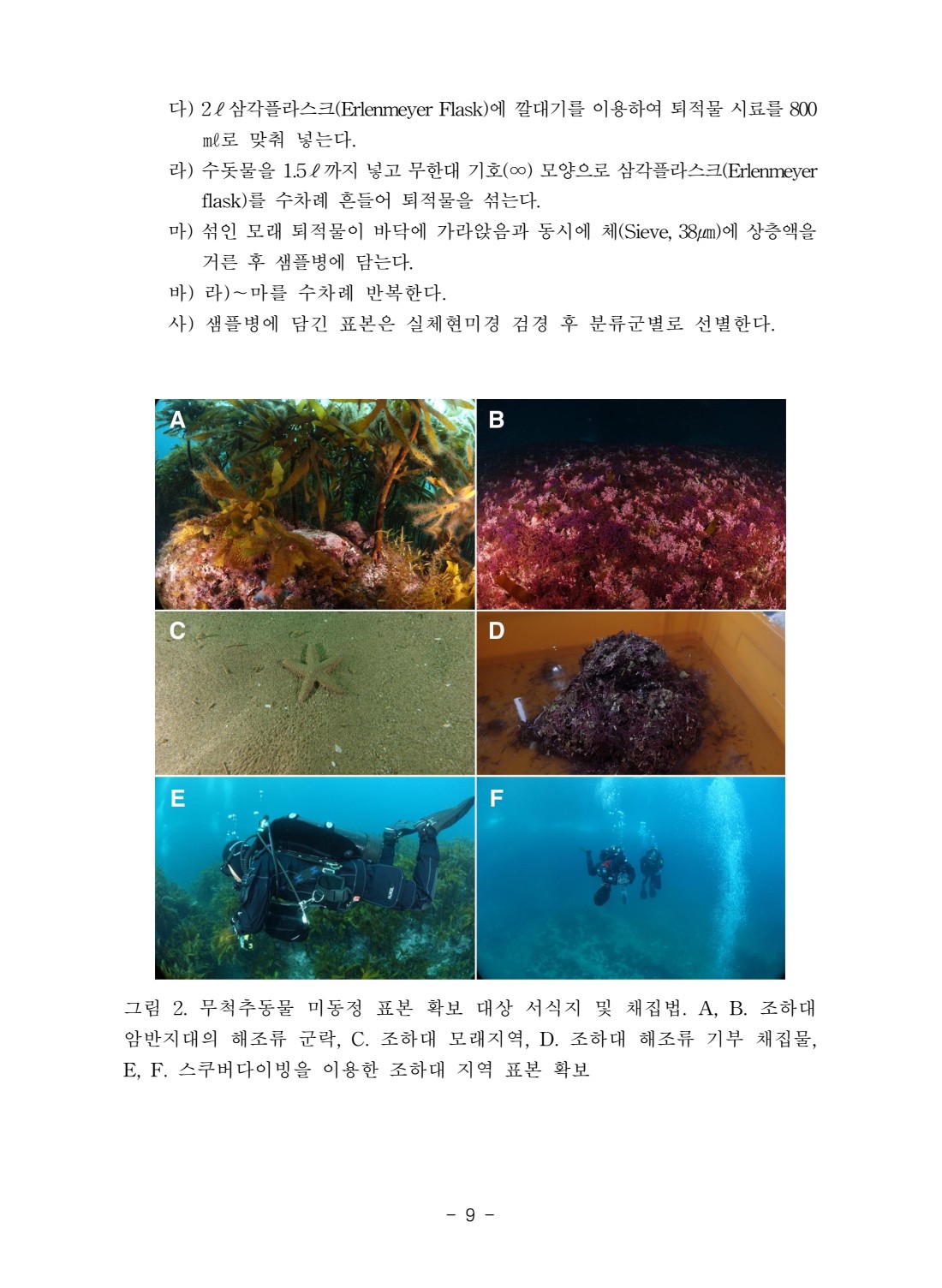 페이지