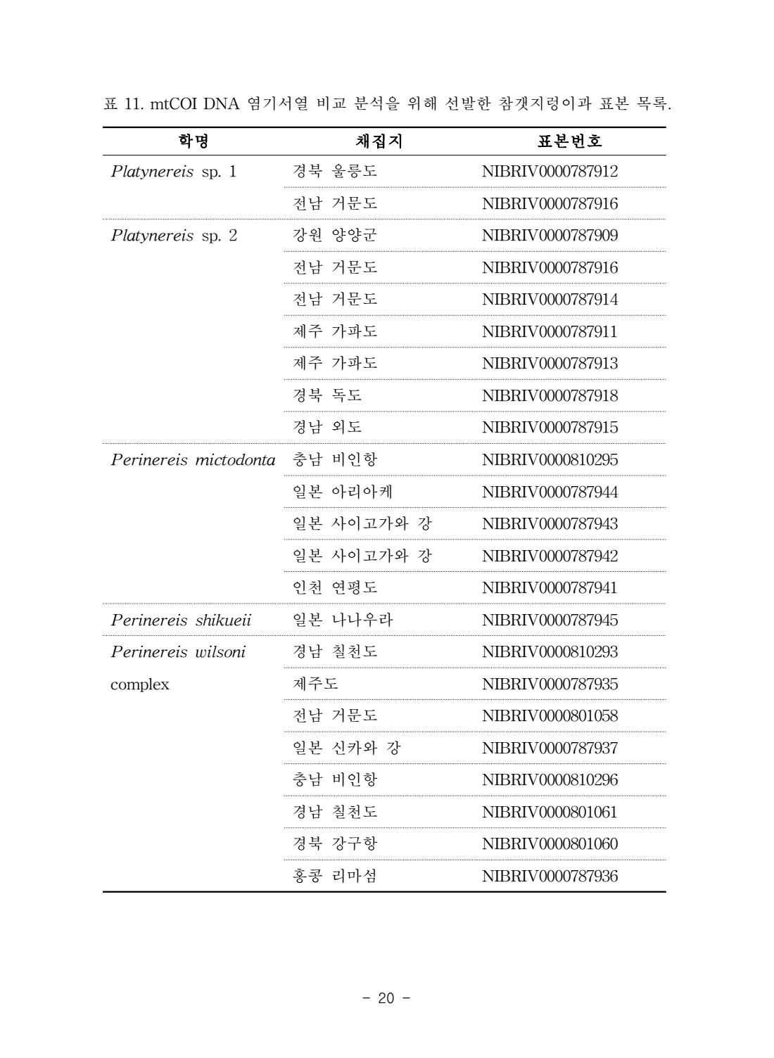 페이지