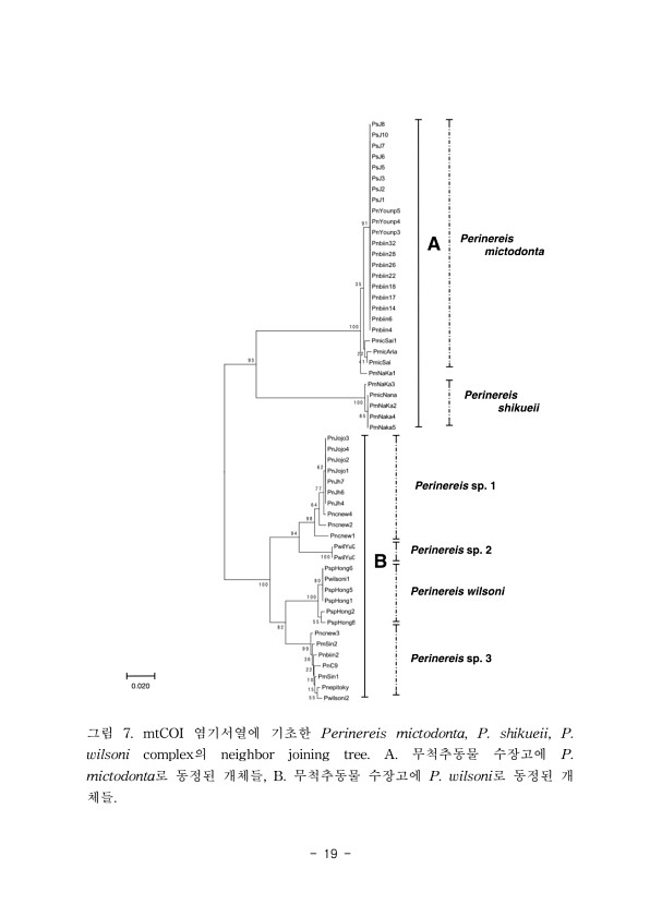 19페이지