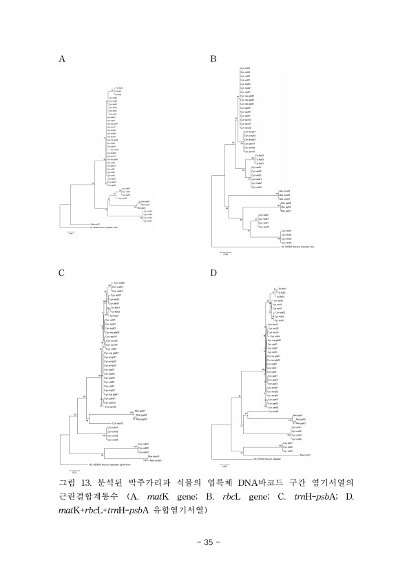 35페이지