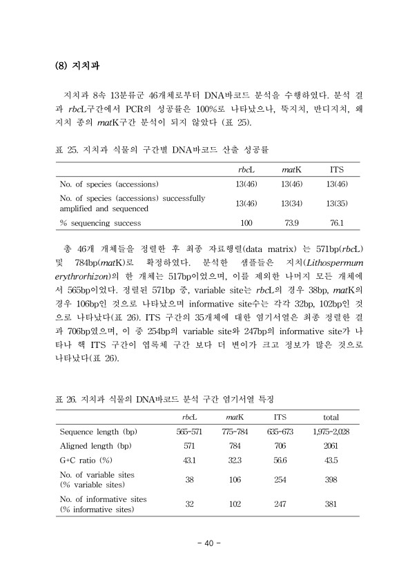 40페이지