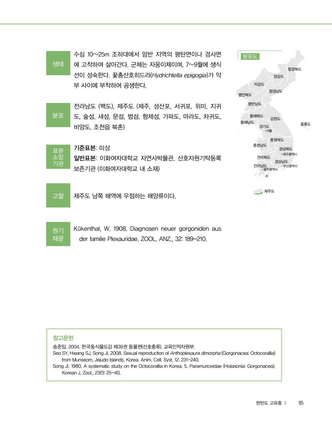 페이지