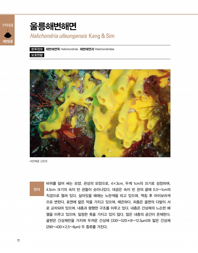 56페이지