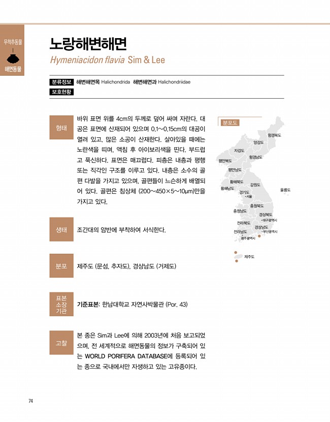 58페이지
