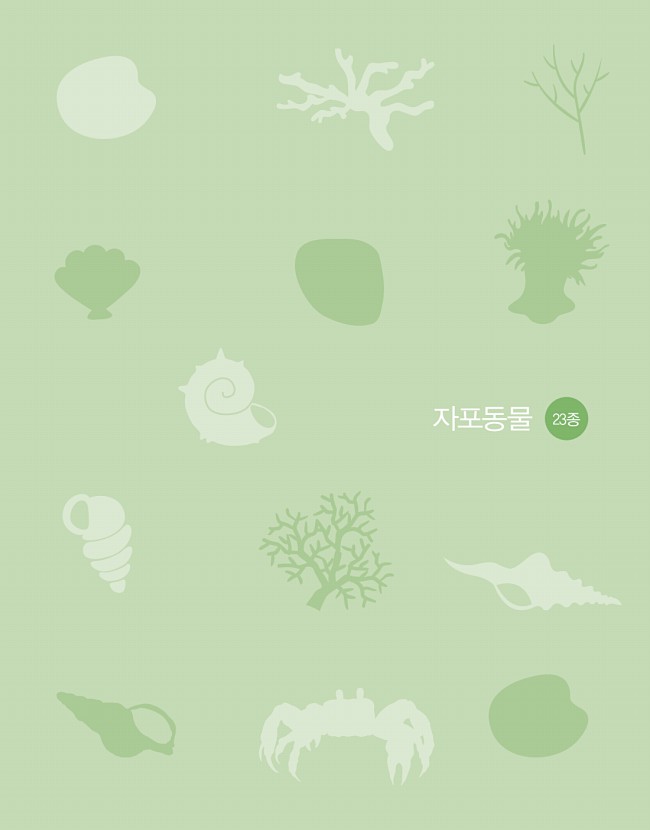 75페이지