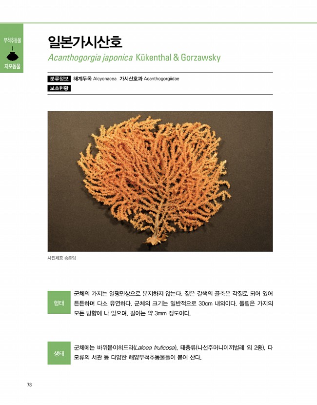 76페이지