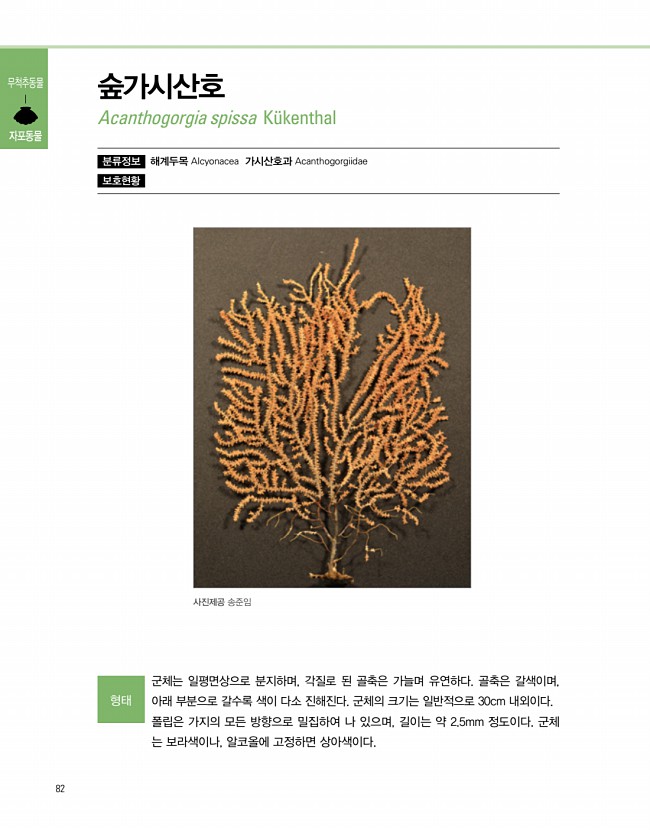 80페이지