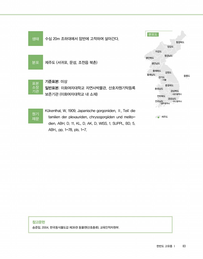 81페이지