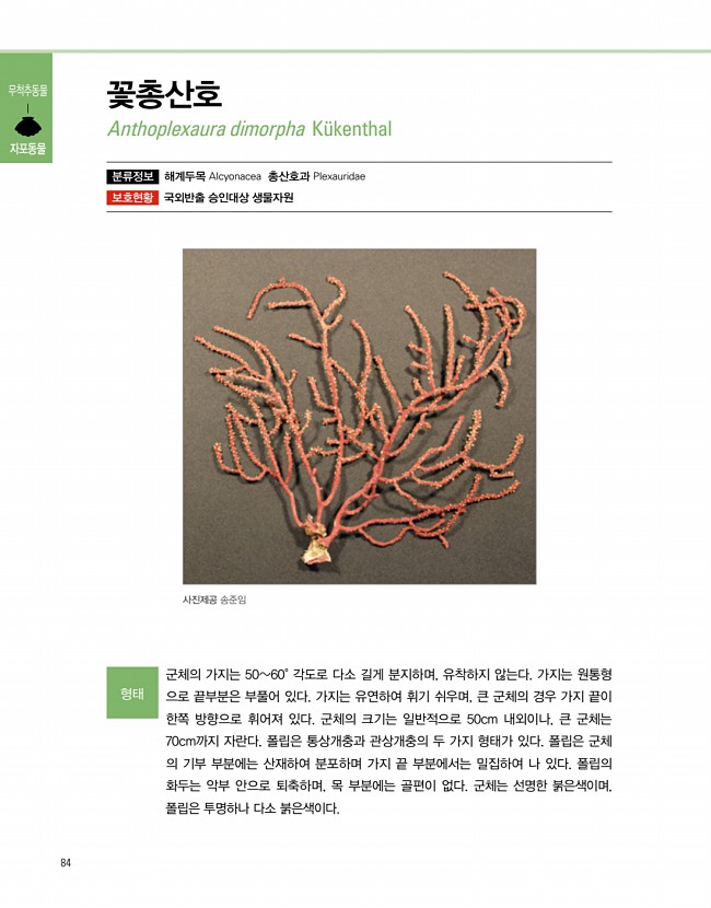 82페이지