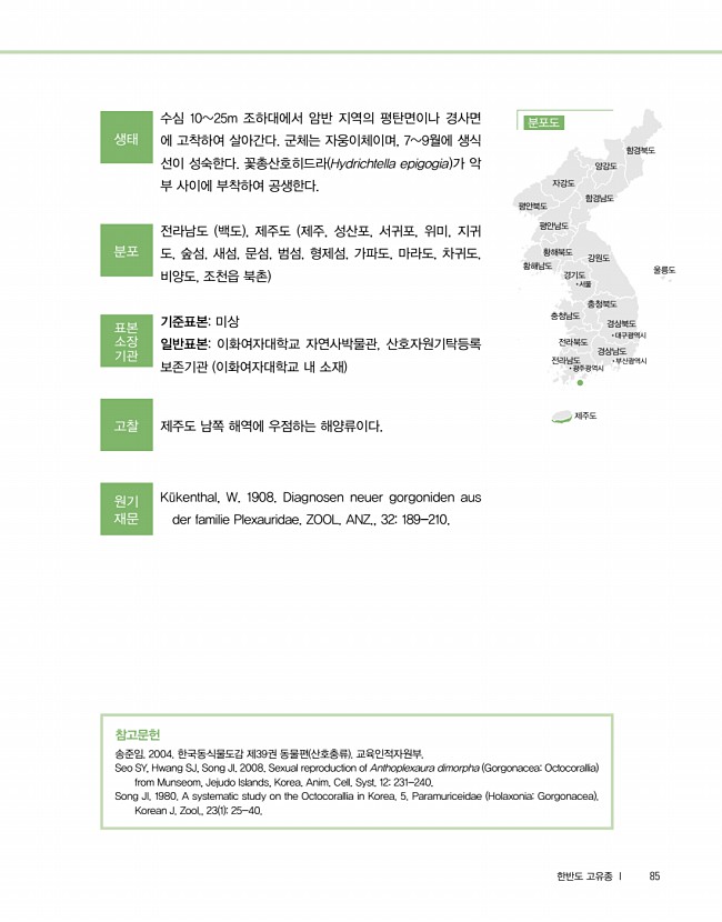 83페이지