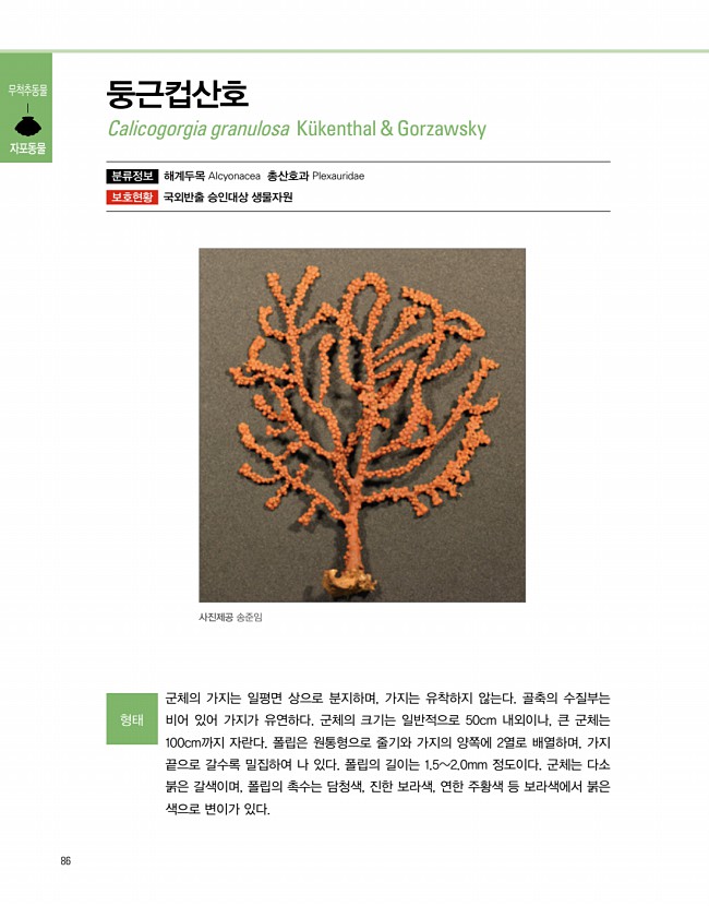 84페이지