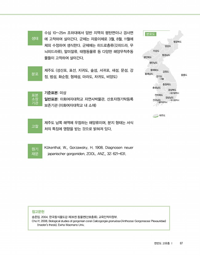 85페이지