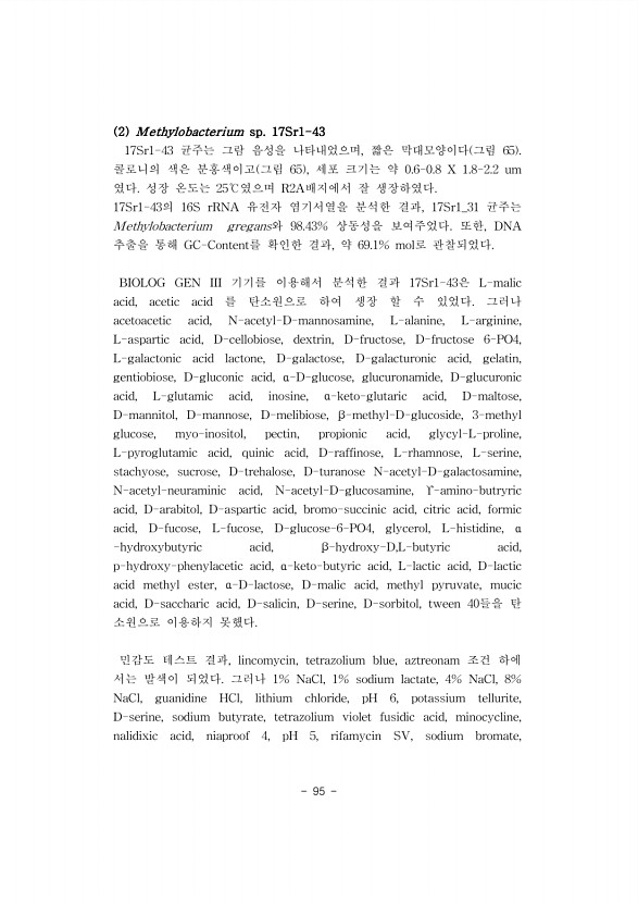 95페이지