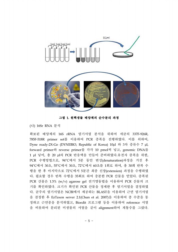 5페이지