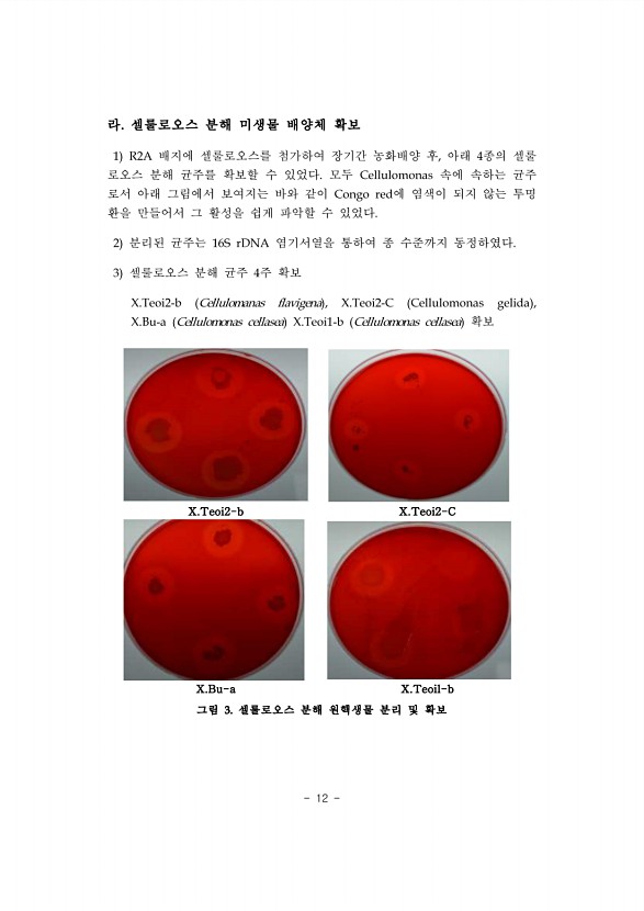 12페이지