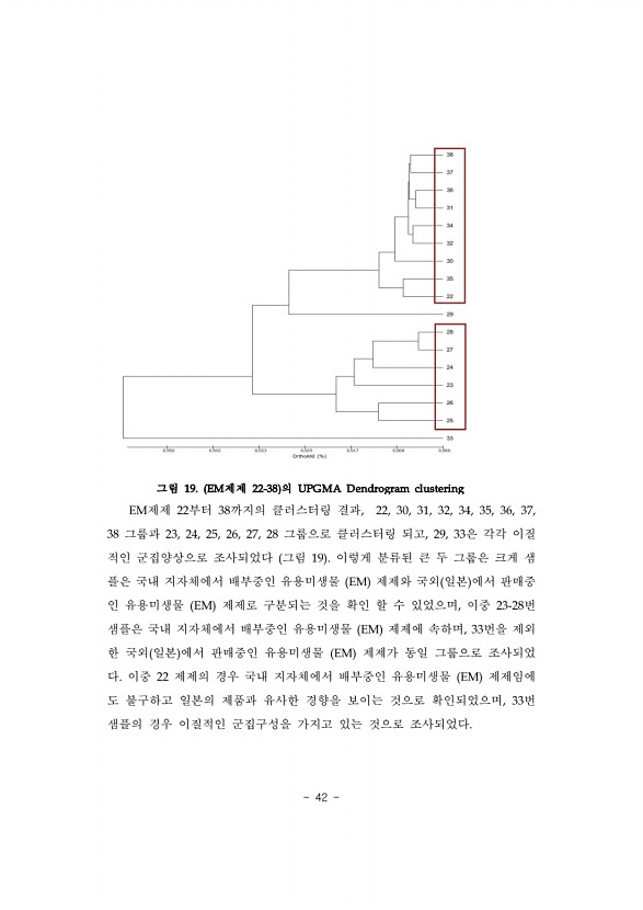 42페이지