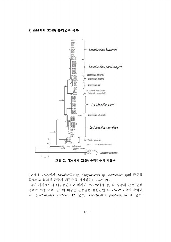 45페이지