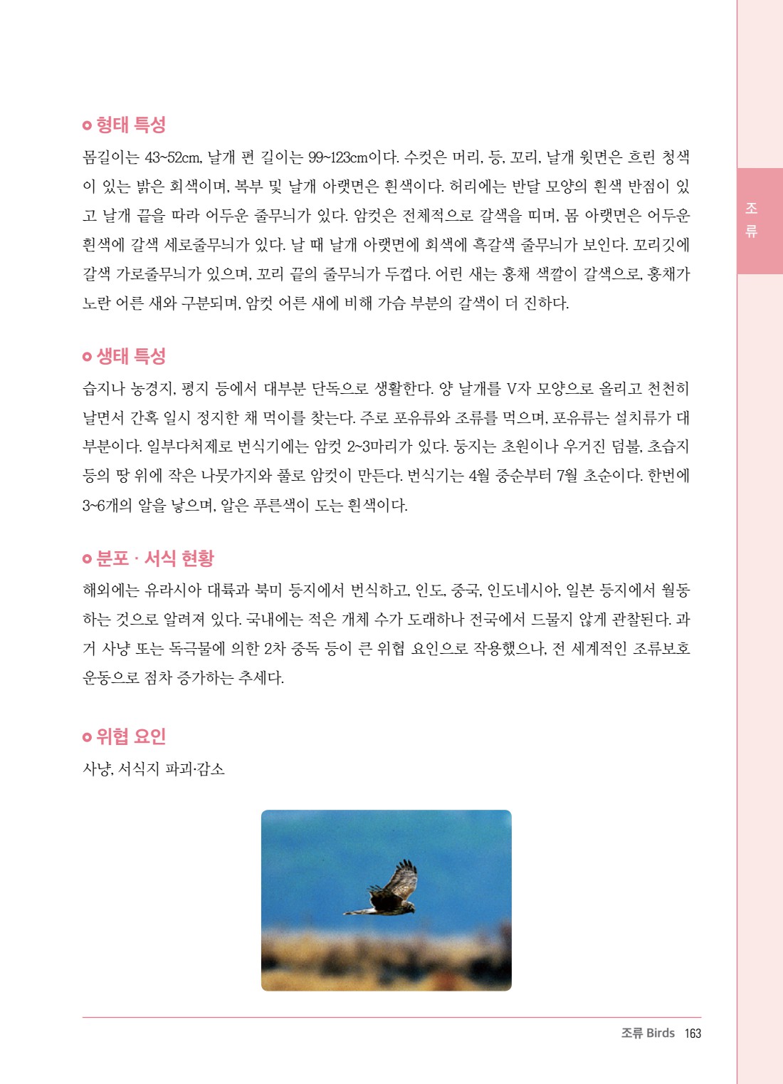 페이지