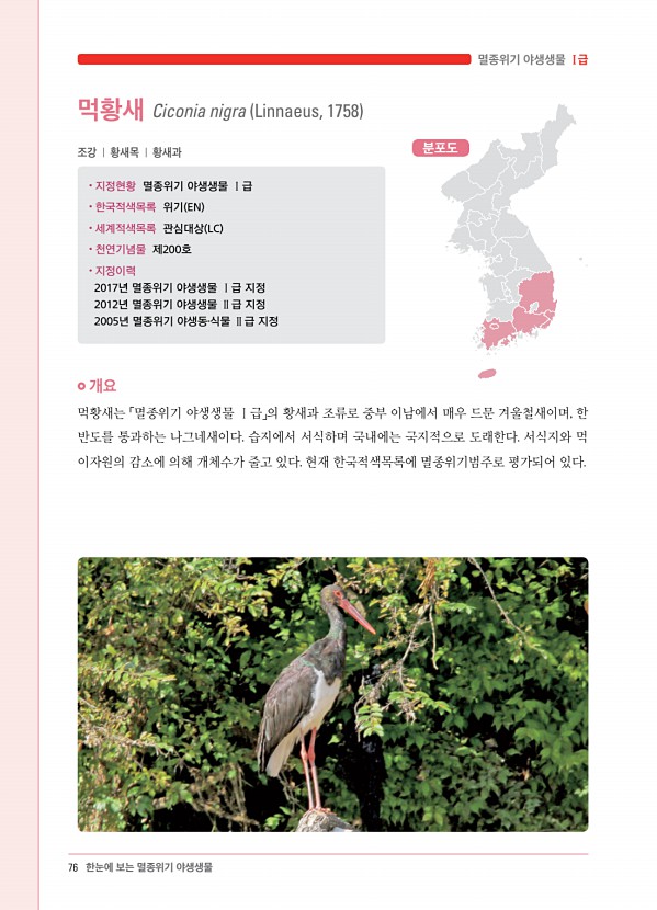 68페이지