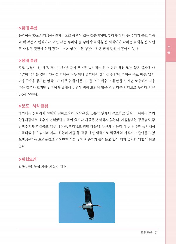 69페이지