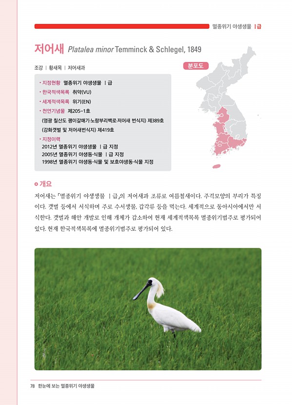 70페이지