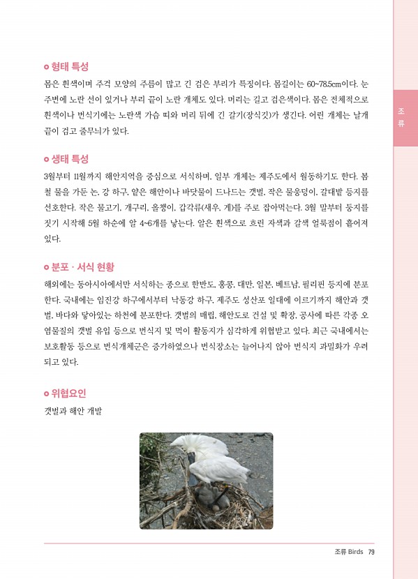 71페이지