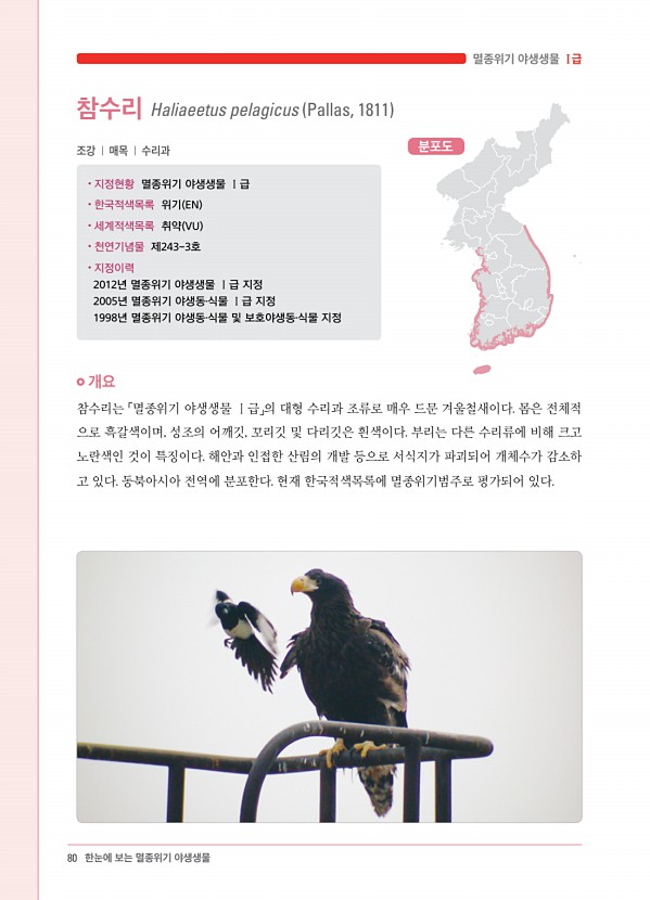 72페이지