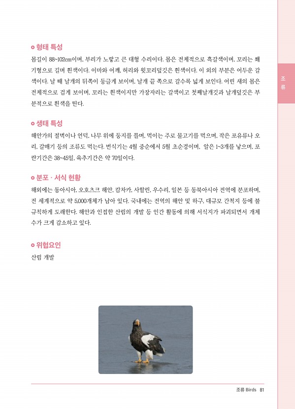 73페이지