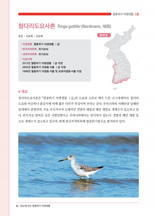74페이지