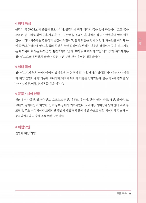 75페이지