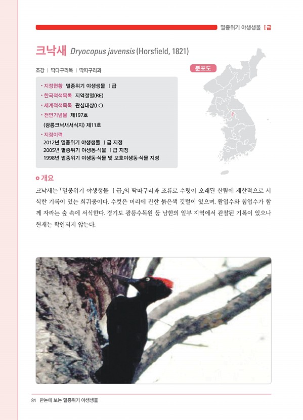 76페이지