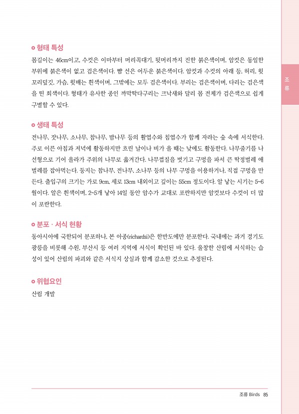 77페이지