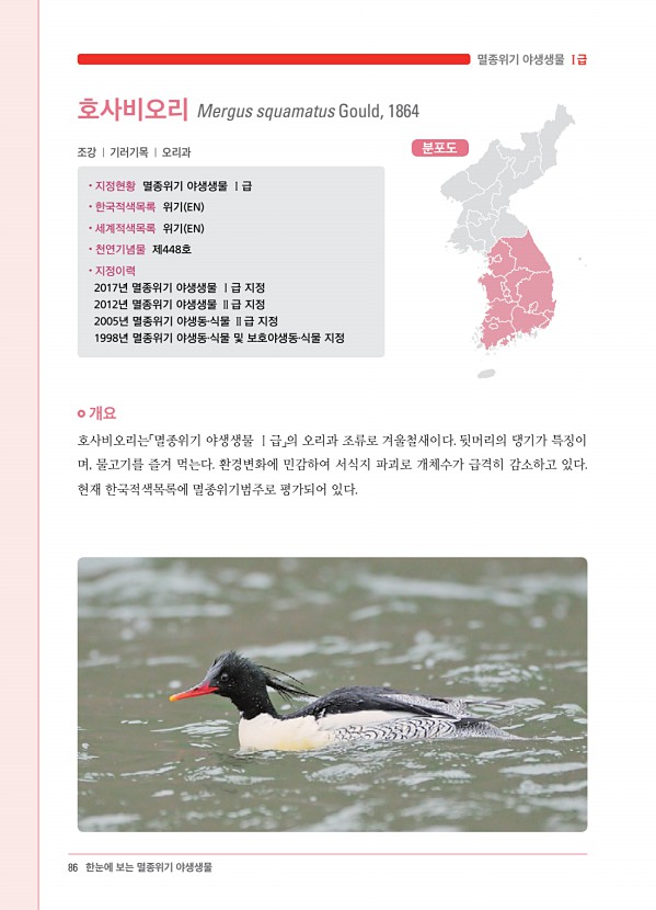 78페이지