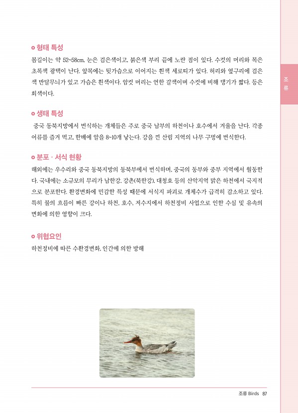 79페이지