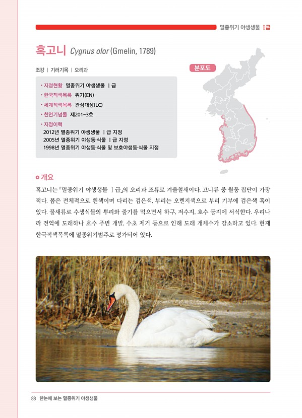 80페이지