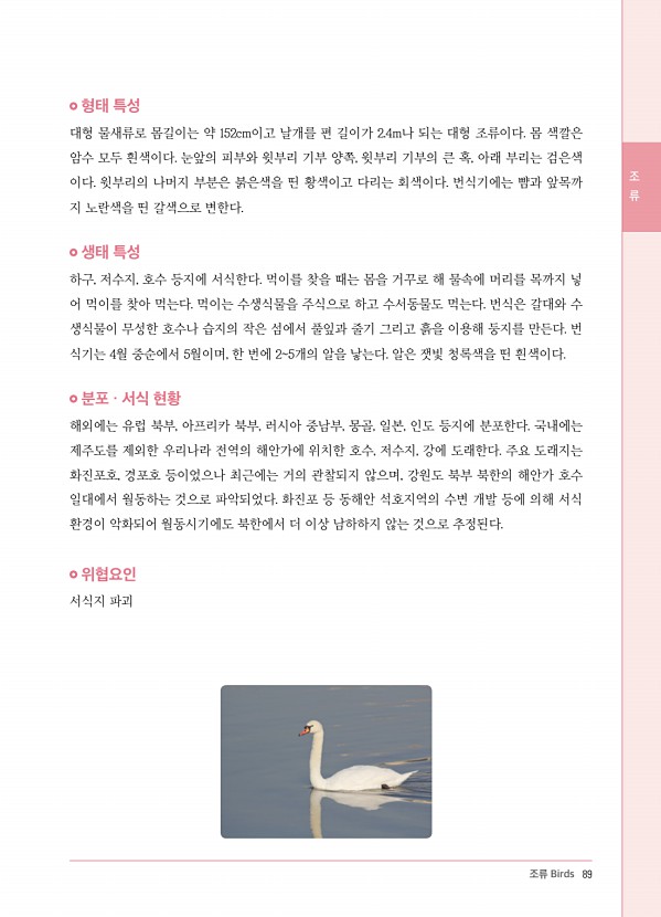 81페이지