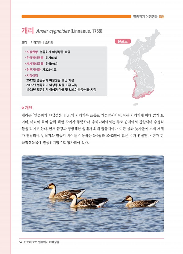 80페이지