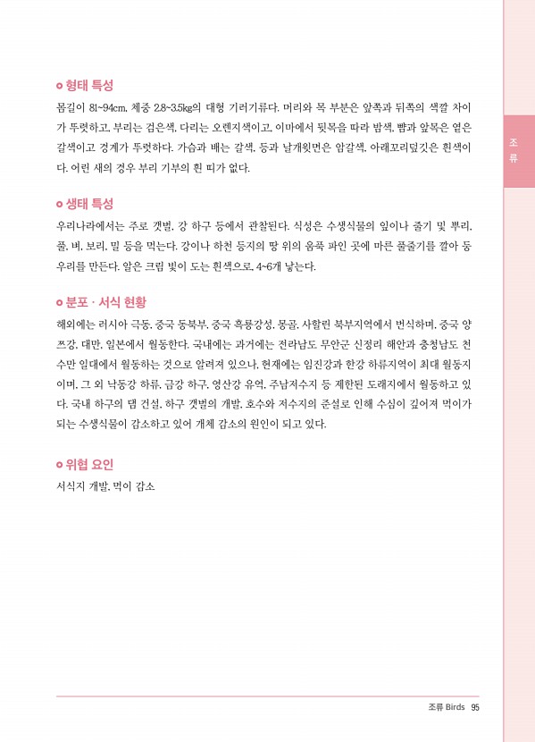 81페이지