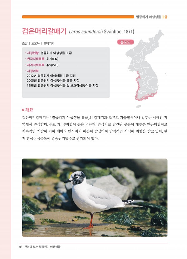 82페이지
