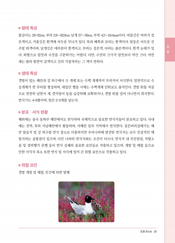 83페이지