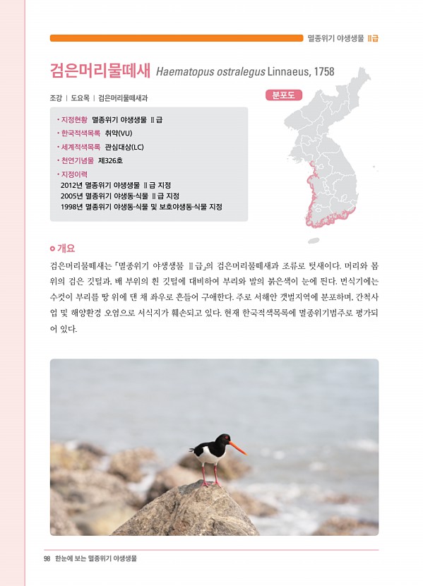 84페이지