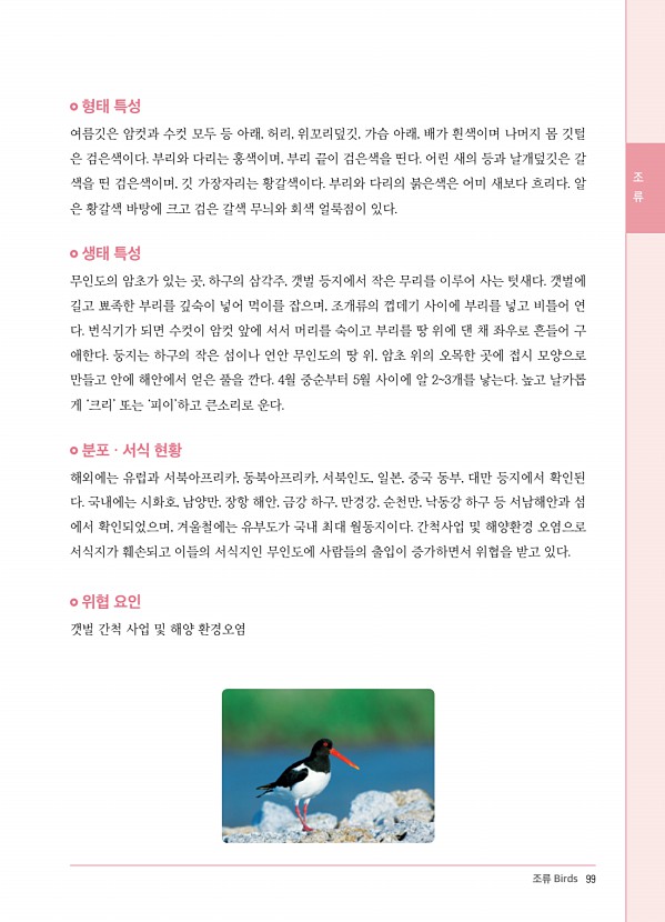 85페이지