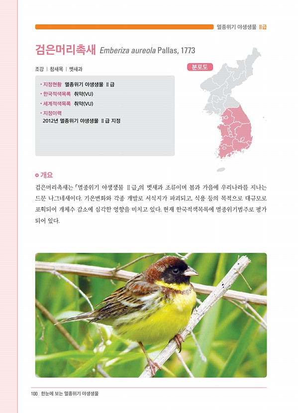 86페이지
