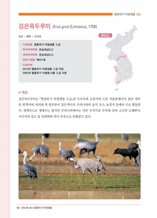 88페이지