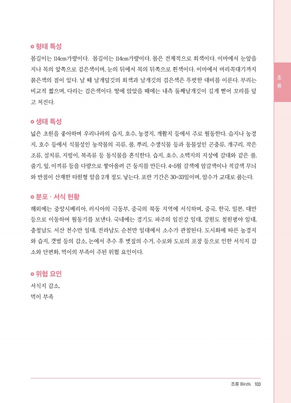 89페이지
