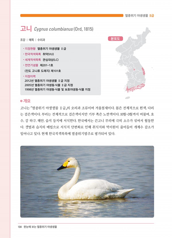 90페이지