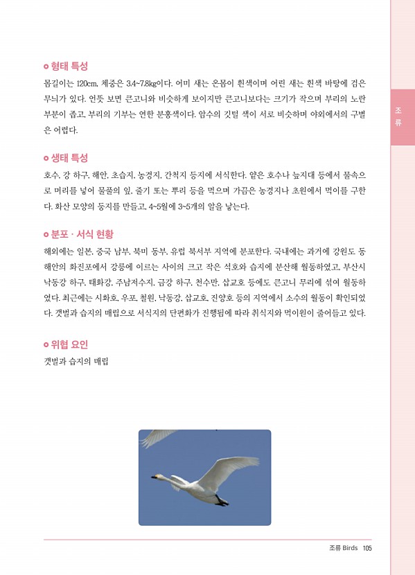 91페이지
