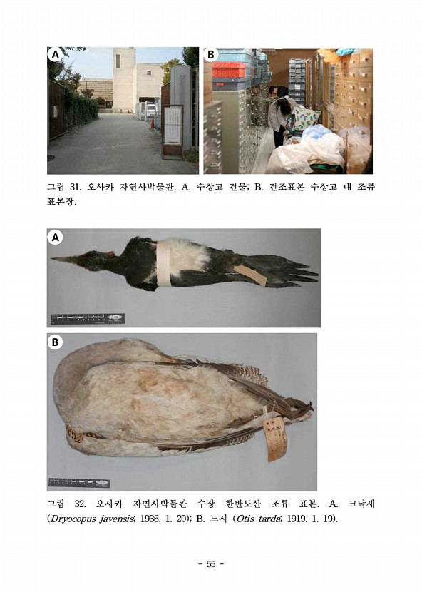 55페이지
