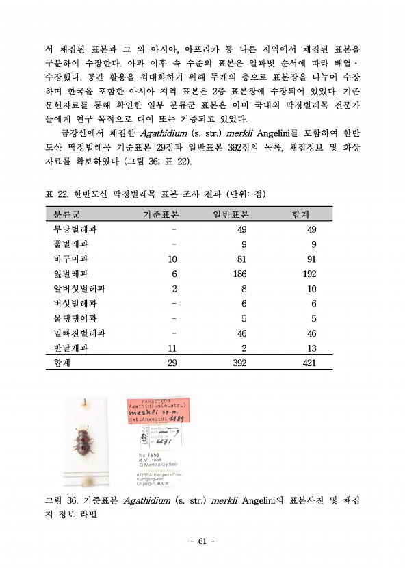 61페이지