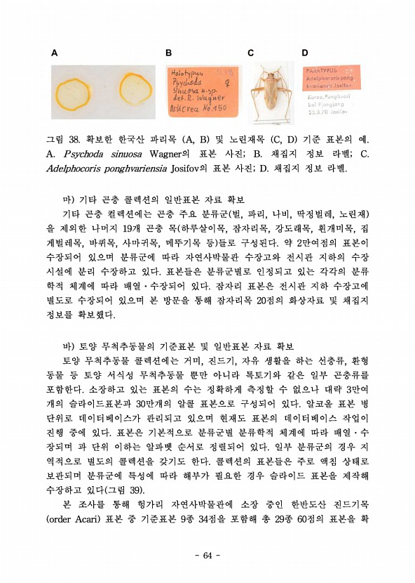 64페이지